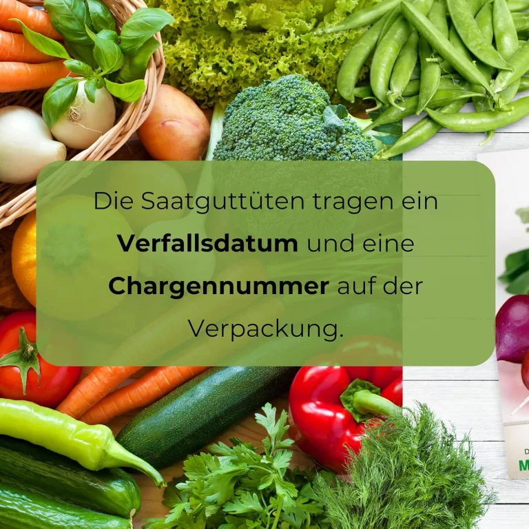 Butterkopfsalat Königin von Mai Samen 1g, Kopfsalat, Robuste Gemüsesamen, Gemüse Samen, Samen Anzucht, Saatgut für Gewächshaus – Bild 9