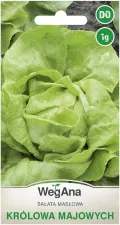 Butterkopfsalat Königin von Mai Samen 1g, Kopfsalat, Robuste Gemüsesamen, Gemüse Samen, Samen Anzucht, Saatgut für Gewächshaus - Thumbnail 1