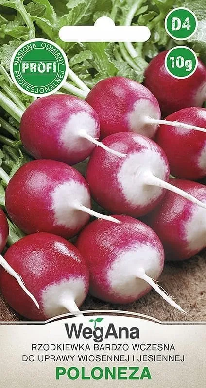 Rettich Poloneza Radieschen Samen 10g (Etwa 1500 Samen) Frühe Sorte, Robuste Gemüsesamen, Gemüse Samen, Samen Anzucht, Saatgut für Gewächshaus – Bild 1