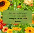Petersilienwurzel Konika Saatband 6m Wurzelpetersilie, Robuste Gemüsesamen Gemüse Samen Samen Anzucht Saatgut für Gewächshaus - Thumbnail 8
