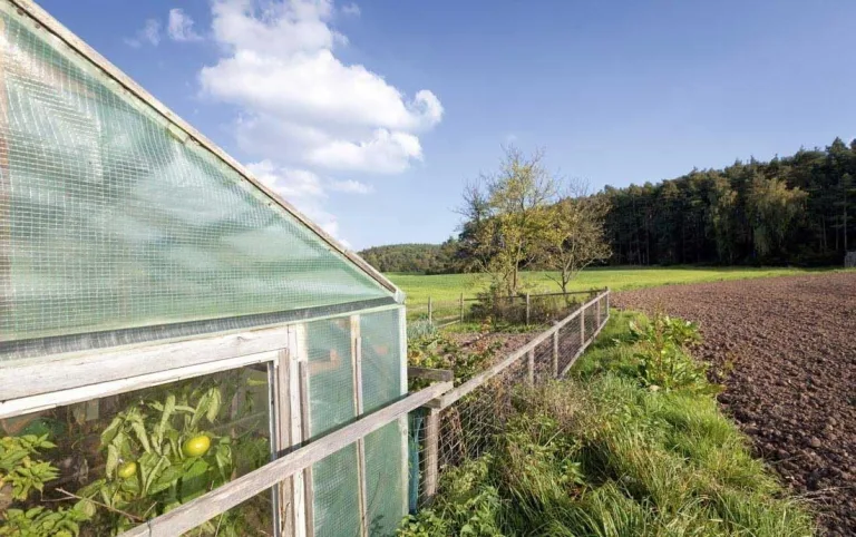 EraGreen Gitterfolie 1,5m x 10m - 280g/m² reißfeste Gewächshaus Folie mit Nagelrand, hoch UV-Stabil Gartenfolie für Tomatenhaus und Frühbeet, Gewebefolie – Bild 5