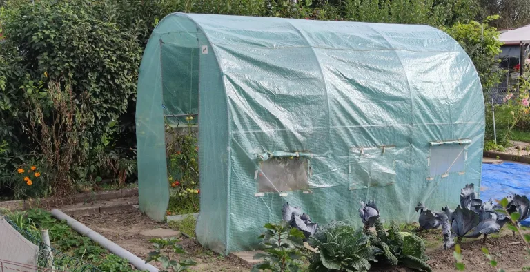 EraGreen Gitterfolie 1,5m x 80m - 280g/m² reißfeste Gewächshaus Folie mit Nagelrand, hoch UV-Stabil Gartenfolie für Tomatenhaus und Frühbeet, Gewebefolie – Bild 6