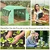 Outsunny Foliengewächshaus Polytunnel 4 x 3 x 2 m begehbares Gewächshaus mit aufrollbar Abdeckungen Folientunnel Treibhaus UV-Schutz Stahlrohr Grün - Thumbnail 2