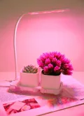 PEARL Mini Gewächshaus: 2er-Set Gewächs- & Anzucht-Station,2Töpfe,Wachstums-LEDs & Wassertank (Anzuchtlampe, Anzuchtsystem, LED Blumentopf) - Thumbnail 5