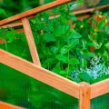 dobar® Frühbeetaufsatz aus Holz für Hochbeet Kubus 2.0 - Frühbeetkasten für Garten - 76 x 56 x 20 cm - Braun - Thumbnail 6