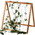 dobar® Rankgitter-Aufsatz aus Holz - Rankgitter für Hochbeet Kubus 2.0-78 x 5 x 78 cm - Braun - Thumbnail 10