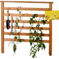 dobar® Rankturm-Aufsatz für Tomaten und Erdbeeren mit Ablage - Rankturm Holz für Hochbeet Kubus 2.0-74 x 54 x 89 cm - Anthrazit - Thumbnail 8