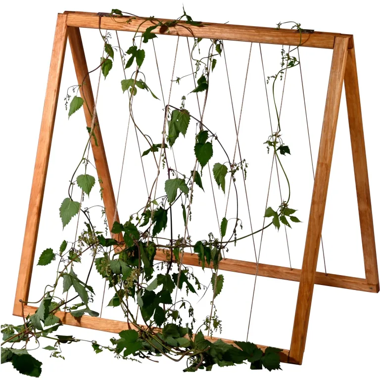 dobar® Frühbeetaufsatz aus Holz für Hochbeet Kubus 2.0 - Frühbeetkasten für Garten - 76 x 56 x 20 cm - Anthrazit – Bild 9