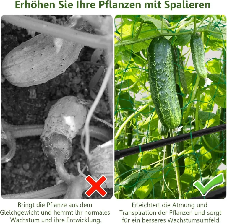 GOPLUS Gurken Rankhilfe, Rankgitter mit verstellbarer A-Form & Würfel-Form, Pflanzenspalier Metall mit Ranknetz & Clips, Gartenspalier Gurkenspalier Pflanzenstütze für Kletterpflanzen, Tomaten & Rosen – Bild 6