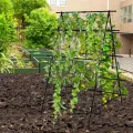 GOPLUS Gurken Rankhilfe, Rankgitter mit verstellbarer A-Form & Würfel-Form, Pflanzenspalier Metall mit Ranknetz & Clips, Gartenspalier Gurkenspalier Pflanzenstütze für Kletterpflanzen, Tomaten & Rosen - Thumbnail 9