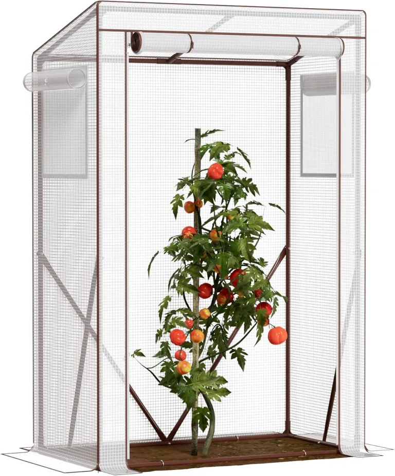 Amopatio Tomatengewächshaus, Foliengewächshaus Klein mit Atmungsaktives Fenster/verstärkter PE-Abdeckung/Erdhaken/Rolltor, 100 x 50 x 150 cm, Tomaten Gewächshaus für Garten, Balkon, Terrasse – Bild 3