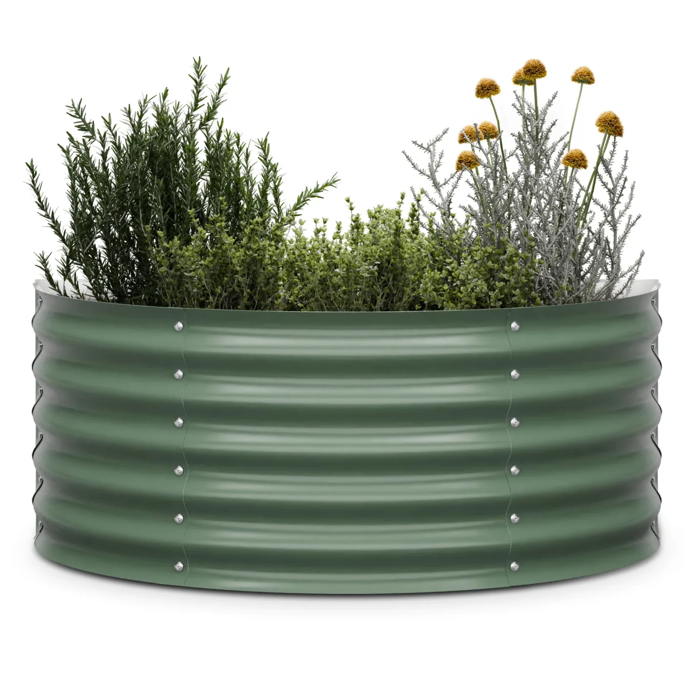 blumfeldt High Grow Half Circle Hochbeet - Ergonomisches 200-l-Hochbeet aus Metall für den Garten, Rostfreier Galvalume-Stahl, 43 cm Höhe, Einfache Montage, Frostsicher, Dunkles Moosgrün - Bild 1