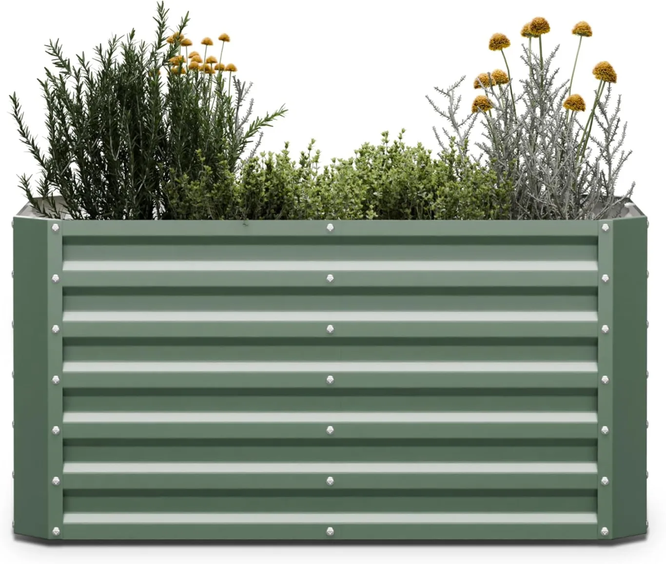 blumfeldt High Grow Straight Hochbeet, Ergonomisches 575-l-Gartenbeet aus Rostfreiem Galvalume-Stahl für Gemüse und Kräuter – Rückenschonendes Design, Einfache Montage, Frostsicher und Kompakt - Bild 1