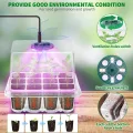 Qoolife Zimmergewächshaus Anzuchtkasten, Mini Gewächshaus Anzucht Set mit erhöhten Deckel, Setzling Starter mit Pflanzenlichter mit vollem 2 Stück (Transparent) - Thumbnail 2