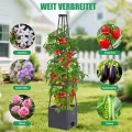 145cm Tomatentopf, 2 Pack Selbstbewässerung Tomatentopf mit Rankhilfe,Tomaten Rankhilfe mit Wasserspeicher，Höhe Einstellbar Tomatenturm，für Kletterpflanzen Gemüse Blumen Outdoor&Indoor - Thumbnail 6