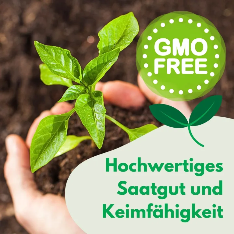 Tomate Herodes Tomatensamen 0,5g, Robuste Gemüsesamen, Gemüse Samen, Samen Anzucht, Saatgut für Gewächshaus – Bild 4