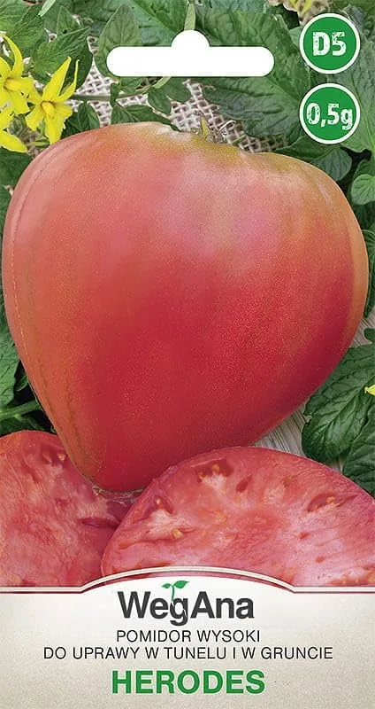 Tomate Herodes Tomatensamen 0,5g, Robuste Gemüsesamen, Gemüse Samen, Samen Anzucht, Saatgut für Gewächshaus – Bild 1