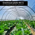 Polyethylenfolie Transparent Gewächshausfolie, Extra Dick Reißfest Gartenfolie Aus Polyethylen,Treibhaus Folie Zur Abdeckung Von Gemüsebeeten Tunnelfolie Tomatenhaus Folie (2 X 3m) - Thumbnail 7