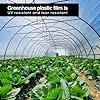 Polyethylenfolie Transparent Gewächshausfolie, Extra Dick Reißfest Gartenfolie Aus Polyethylen,Treibhaus Folie Zur Abdeckung Von Gemüsebeeten Tunnelfolie Tomatenhaus Folie (2 X 3m) - Thumbnail 2