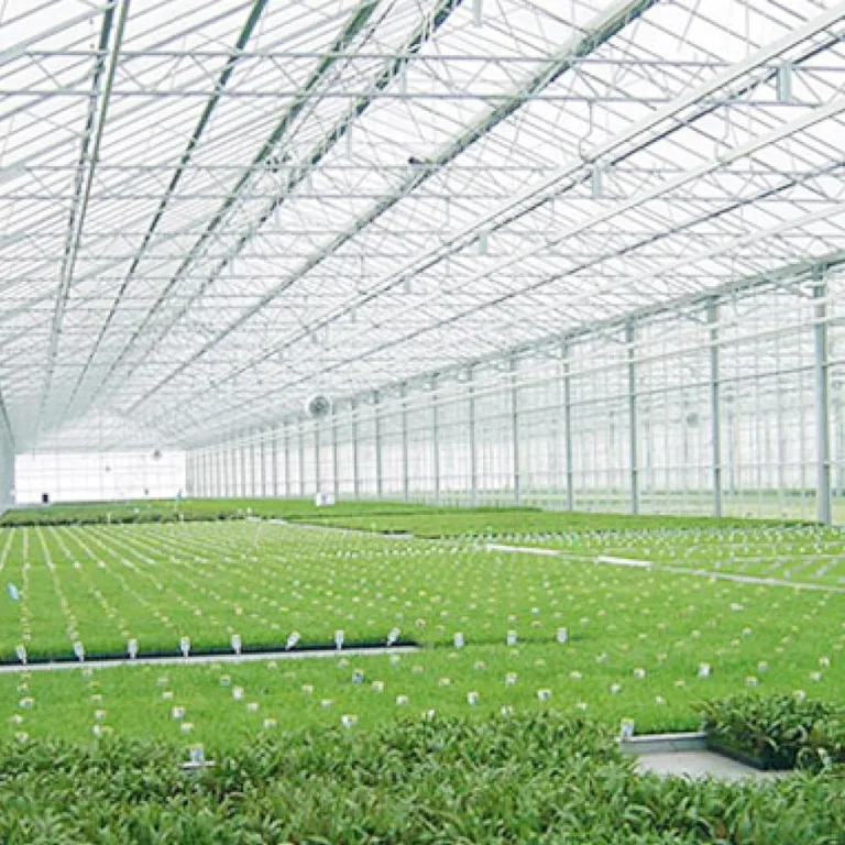 4mm Klar Stegplatten Set 14x Polycarbonat Hohlkammerstegplatten Total 10,25m² UV-beständigem Gewächshausplatten Schneidbar Doppelstegplatten für den Bau von Carports, Gewächshäuse – Bild 8