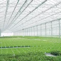 4mm Klar Stegplatten Set 14x Polycarbonat Hohlkammerstegplatten Total 10,25m² UV-beständigem Gewächshausplatten Schneidbar Doppelstegplatten für den Bau von Carports, Gewächshäuse - Thumbnail 8