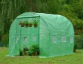BDW Gewächshaus - Foliengewächshaus - Tomatengewächshaus - 200 cm hoch - mit robustem Metallgestell, Gitterfolie und Fenster - Tomatenhaus, Folientunnel, Pflanztunnel - mit Kunststoffabdeckung - 2x3m - Thumbnail 2