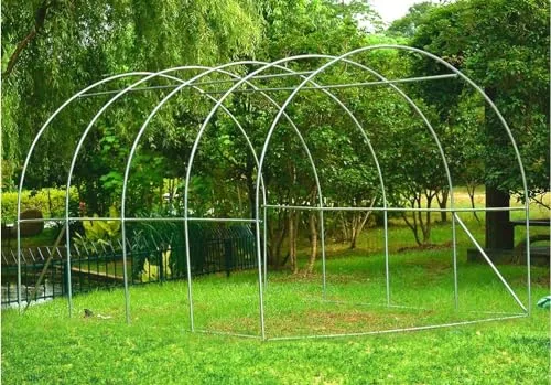 BDW Gewächshaus - Foliengewächshaus - Tomatengewächshaus - 200 cm hoch - mit robustem Metallgestell, Gitterfolie und Fenster - Tomatenhaus, Folientunnel - mit Kunststoffabdeckung - 2,5x4m – Bild 10