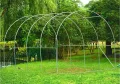 BDW Gewächshaus - Foliengewächshaus - Tomatengewächshaus - 200 cm hoch - mit robustem Metallgestell, Gitterfolie und Fenster - Tomatenhaus, Folientunnel - mit Kunststoffabdeckung - 2,5x4m - Thumbnail 3