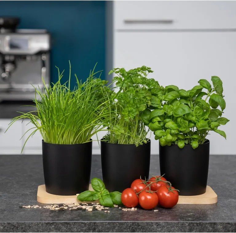 Novaliv Stilvolle Kräuterstation 3er Set mit Holzunterlage - Kräutertopf für Jede Fensterbank, Für frische Küchenkräuter, Kräutergarten für die küche, Kräuterbeet Indoor, Blumenkasten, Pflanzentopf – Bild 1