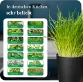 Novaliv Stilvolle Kräuterstation 3er Set mit Holzunterlage - Kräutertopf für Jede Fensterbank, Für frische Küchenkräuter, Kräutergarten für die küche, Kräuterbeet Indoor, Blumenkasten, Pflanzentopf - Thumbnail 6