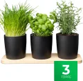 Novaliv Stilvolle Kräuterstation 3er Set mit Holzunterlage - Kräutertopf für Jede Fensterbank, Für frische Küchenkräuter, Kräutergarten für die küche, Kräuterbeet Indoor, Blumenkasten, Pflanzentopf - Thumbnail 2