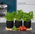 Novaliv Stilvolle Kräuterstation 3er Set mit Holzunterlage - Kräutertopf für Jede Fensterbank, Für frische Küchenkräuter, Kräutergarten für die küche, Kräuterbeet Indoor, Blumenkasten, Pflanzentopf - Thumbnail 1