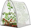 Sekey Winterschutz Gewächshaus 180×160×160 cm – Winterfestes Pflanzenhaus mit robuster Folie, Stabile Konstruktion & Reißverschluss-Tür, Ideal als Überwinterungszelt für Garten & Balkon, Weiß - Thumbnail 9