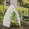 Sekey Winterschutz Gewächshaus 180×160×160 cm – Winterfestes Pflanzenhaus mit robuster Folie, Stabile Konstruktion & Reißverschluss-Tür, Ideal als Überwinterungszelt für Garten & Balkon, Weiß - Thumbnail 2