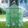 Ribelli Foliengewächshaus, Gewächshaus mit Aufrollbarer Tür, Tomatengewächshaus 143x195x213 cm, 4 Regale Treibhaus, Winterfest PE-Gitterfolie, Gartenhaus für Pflanzen, Gemüse, Blumen, Grün - Thumbnail 5