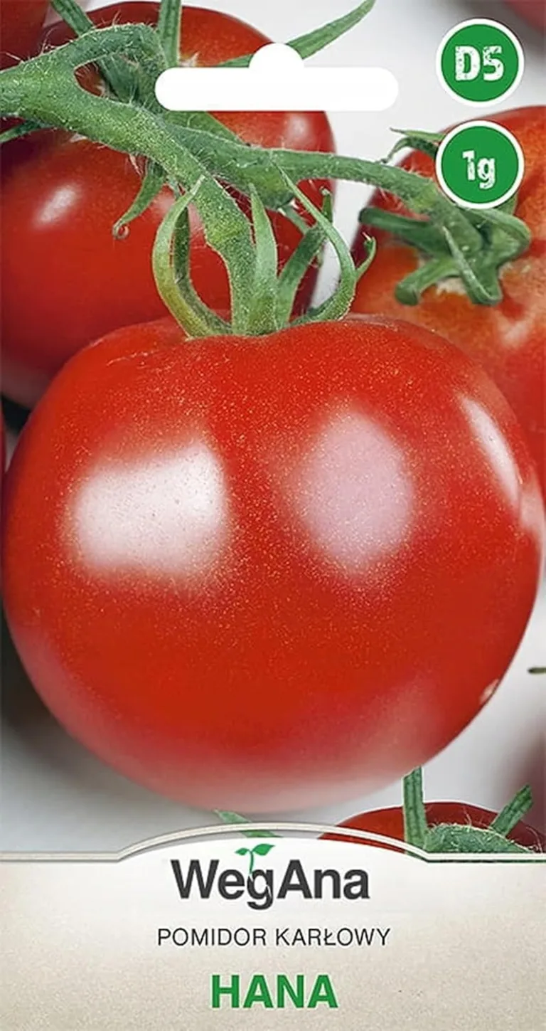 Tomaten Hana 1g Samen Zwergtomate Tomatensamen Robuste Gemüsesamen Gemüse Samen Anzucht Saatgut für Gewächshaus Garten Mittelfrühe – Bild 1