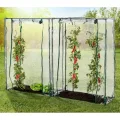 GreenYard® Gewächshaus Foliengewächshaus Tomatengewächshaus in versch. Varianten (Tomatengewächshäuser 150x100x50 cm) - Thumbnail 6