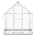 Rantry Gewächshaus-Rahmen mit silbernem Sockel, 169 x 114 x 202 cm, aus Aluminium, Dekoration für Möbel, für Innen- und Außenbereiche, für Wohnzimmer und Büro - Thumbnail 3