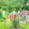 Gewächshaus Klein in PVC Transparent, Pop-Up Mini Gewächshaus 56 X 56 X 56 cm, Überwinterungszelt für Pflanzen, Kleines Gewächshaus Outdoor, für Blumen, Garten, Setzlinge, Balkon, Gemüse – Bild 2