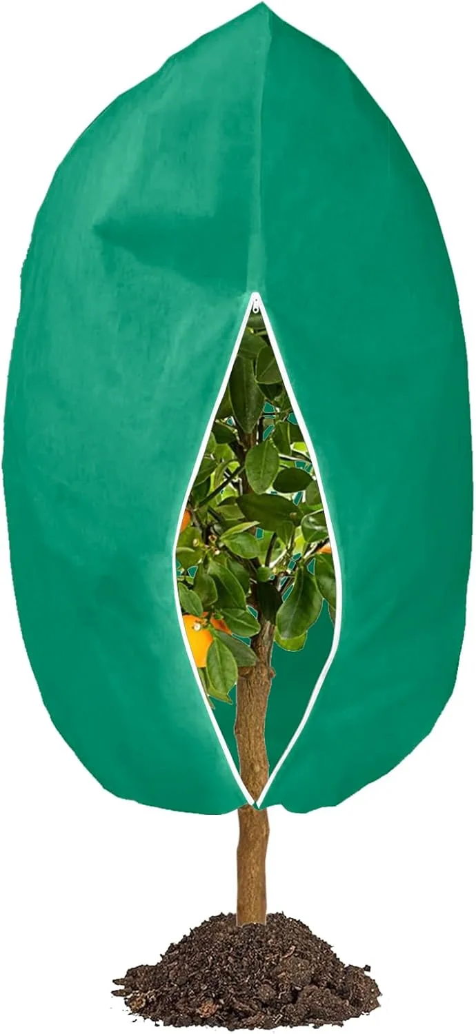 190 x 228cm Winterschutz für Pflanzen, Draußen Pflanzenschutz Winter Frostschutz Für Kübelpflanzen, mit Reißverschluss Zugband Für Palmen, Olivenbaum, Wiederverwendbar Wintervlies 1 Stück,70g/m² - Bild 1