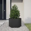 vidaXL Pflanzkübel, Blumenkübel mit Offenem Boden, Hochbeet Gemüsebeet für Garten Terrasse, Pflanzkasten Blumenkasten Kompostbehälter, Schwarz Sechseckig Stahl - Thumbnail 2