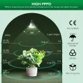 SANSI Pflanzenlampe LED Vollspektrum für Zimmerpflanzen, IP54 Wasserdichte Pflanzenleuchte Lichterkette mit 6 Stücke E27 12W Wachstumslampe Birnen für Gewächshaus, Sämling, Blumen, Gemüse (6,7 Meter) - Thumbnail 9
