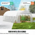 VEVOR Folien-Gewächshaus, 590 x 295 x 198 cm, Tomatengewächshaus, Treibhaus mit verzinktem Stahlrahmen, grüner PE-Abdeckung, aufrollbarer Reißverschlusstür und 12 Fenstern für den Außenbereich, Weiß - Thumbnail 4