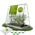 TTL GARDEN Peak XXXL 600 Folientunnel & Tunnelbogen - Pflanztunnel mit Folie, Beetabdeckung für große Pflanzen 2m hoch, 1,20m breit, 6m lang, Folien Tunnel Bögen System, Stahl rostfrei Tomaten Bohnen - Thumbnail 8