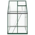 IKAYAA Gewächshaus mit Fundamentrahmen Gewächshaus Aluminium für den Garten Treibhaus Gartenhaus Winterfest Aufzucht Tomatenhaus Frühbeet und Pflanzenhaus-Grün-169 x 114 x 195 cm - Thumbnail 4