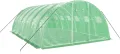IKAYAA Folientunnel Gewächshaus 6 x 4 x 2 m Foliengewächshaus Gewächshaus Tomatengewächshaus Treibhaus Folientunnel, Fenster mit Insektenschutz, für Tomaten Grün - Thumbnail 3