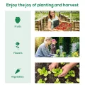 Outsunny Garten-Gewächshaus, 6 m², 3 x 2 m, mit 1 Tür + 2 aufrollbaren Seitenwänden mit Reißverschluss, 6 Fenster, verzinkter Stahl, Polyethylen, hohe Dichte, 140 g/m², UV-Schutz, Weiß - Thumbnail 7