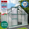BRAST Gewächshaus Aluminium mit Fundament | 42 Modelle | 130x190x195cm - 490x250x235cm | TÜV geprüft | 6mm Hohlkammerplatten | rostfrei wetterfest temperaturbeständig | 490x250x205cm Grün - Thumbnail 3