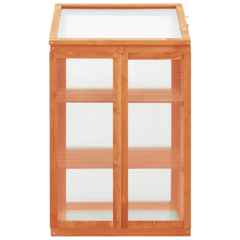 3 stufiges Frühbeet aus Holz, Mini Gewächshaus mit 2 Regalen & 2 Türen, Frühbettkasten Pflanzenhaus Pflanzschrank Pflanzenschrank Aufzuchtschrank für Garten & Balkon, 60x45x100 cm – Bild 3