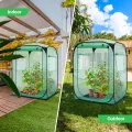 Ohuhu Pop Up Gewächshaus Tomaten Foliengewächshaus Stabil mit PE-Abdeckung und Fernster, Begehbarer Gewächshaus Gewächshaus Klein Winterfest Tomatenhaus für Optimales Pflanzenwachstum Grün - Thumbnail 8